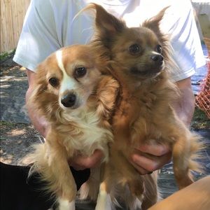 Meet your Posher, Barbara